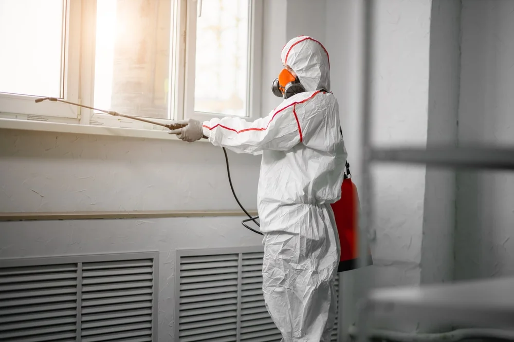 Professional mold remediation services in Kings Park, NY